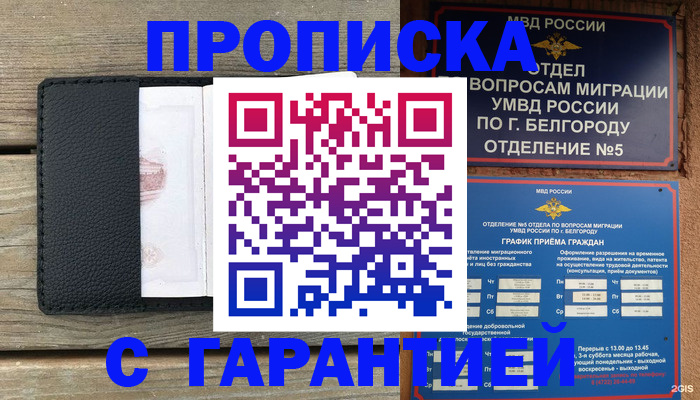 временная регистрация для всех в Снежногорске